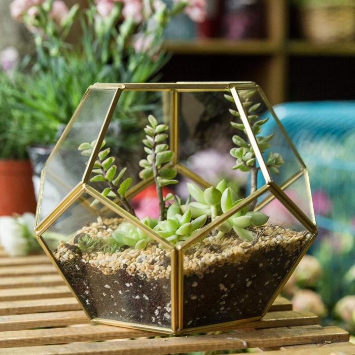 Air Plants Holder Miniature Outdoor Fairy Garden Gift