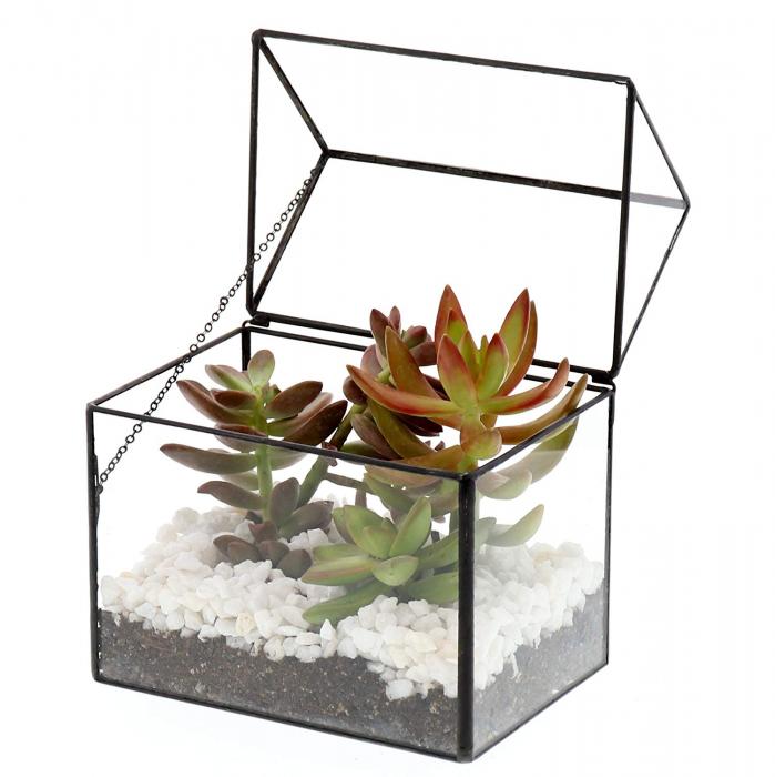 Designs Watertight Glass Terrarium House Succulent Plant Container Tabletop Decor
