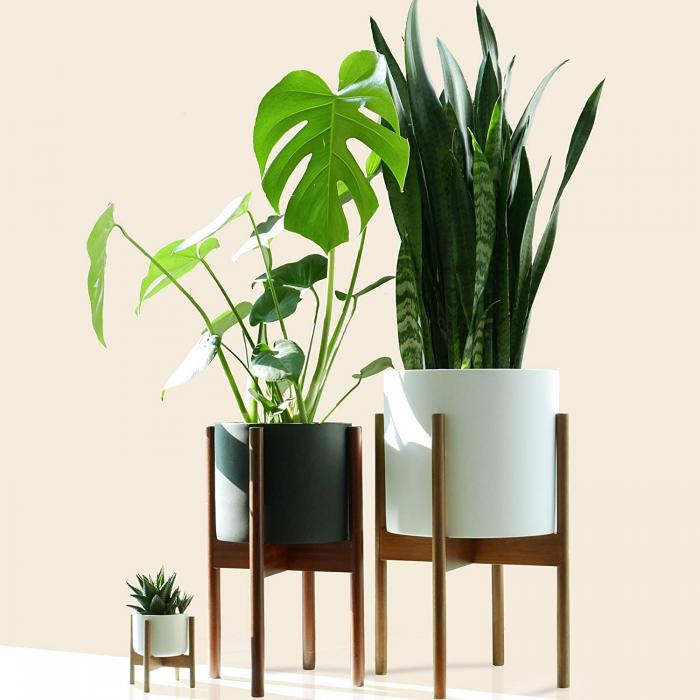 Modern Mini Plant Stand - Acacia - Including 3.5